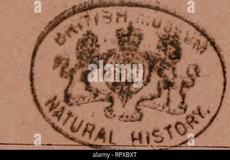 . Album der Natuur. ALBUM DER"? I2. Ich^ Ich NATUUR ONDER REDACTIE VAN S. HARTING, D. LUBACH en W. M. LOGEMAN 1884 Eerste aflevering. Bitte beachten Sie, dass diese Bilder sind von der gescannten Seite Bilder, die digital für die Lesbarkeit verbessert haben mögen - Färbung und Aussehen dieser Abbildungen können nicht perfekt dem Original ähneln. extrahiert. Haarlem Stockfoto