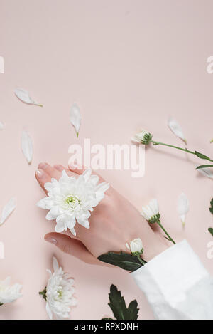Close-up Schöne anspruchsvolle weibliche Hände mit weißen Blumen auf rosa Hintergrund. Konzept Hand Care, anti-falten, Anti-Aging-Creme. Flach, oben Stockfoto