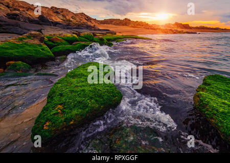 Sonnenuntergang auf dem Meer mit grünen Algen Stockfoto