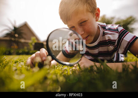 Junge durch die Lupe an einem sonnigen Tag. Junge Erkundung Garten mit Lupe. Stockfoto