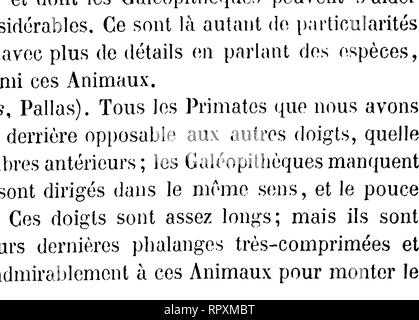 . Histoire Naturelle des mammifères, avec l'Angabe de Leurs, moeurs et de leurs Mehrfachrapport avec les Arts, le Commerce et l'agriculture;. Säugetiere. . Bitte beachten Sie, dass diese Bilder sind von der gescannten Seite Bilder, die digital für die Lesbarkeit verbessert haben mögen - Färbung und Aussehen dieser Abbildungen können nicht perfekt dem Original ähneln. extrahiert. Gervais, Paul, 1816-1879. Curmer Paris, L. Stockfoto