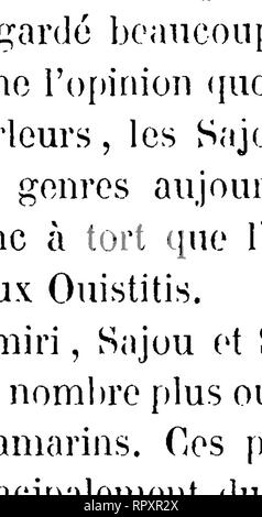 . Histoire Naturelle des mammifères, avec l'Angabe de Leurs, moeurs et de leurs Mehrfachrapport avec les Arts, le Commerce et l'agriculture;. Säugetiere. . Bitte beachten Sie, dass diese Bilder sind von der gescannten Seite Bilder, die digital für die Lesbarkeit verbessert haben mögen - Färbung und Aussehen dieser Abbildungen können nicht perfekt dem Original ähneln. extrahiert. Gervais, Paul, 1816-1879. Curmer Paris, L. Stockfoto