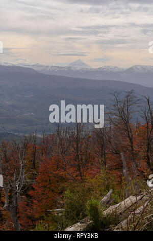 Chapelco Ski Center Stockfoto