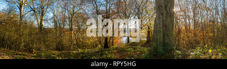 Panorama von Berwick Wald im Herbst, Northumberland, Großbritannien Stockfoto