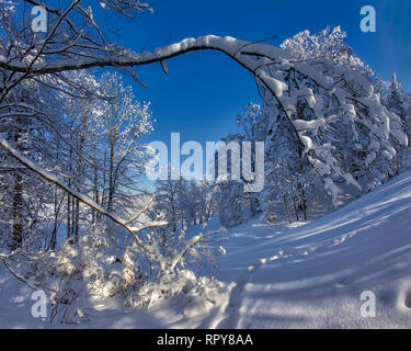 DE - Bayern: Winterscene am Kalvarienberg in Bad Tölz (HDR-Bild) Stockfoto