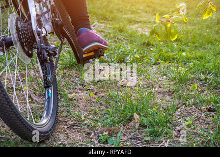 Weibliche Bein auf das Pedal für das Fahrrad im Wald Stockfoto