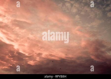 Orange bewölkter Himmel Hintergrund bei Sonnenuntergang. Natürliche Textur Stockfoto