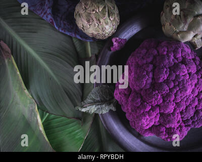 Moody Lila Blumenkohl mit begrünten Platz kopieren Stockfoto