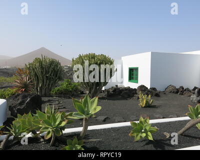 Typische Ansicht von Lanzarote mit Black Rock Wände aus Lava, Quader, weiß getünchtes Gebäude, Palmen und Kakteen Stockfoto