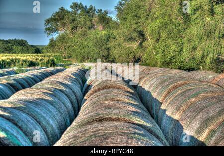 Reihe von Rundballen entlang Feldumriss Stockfoto