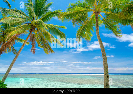 Ein idyllischer Strand mit Palmen in Rarotonga auf den Cook-inseln Stockfoto