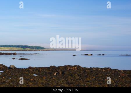 Meer Nebel Rollen in den Northn Meer in Richtung St Andrew's an einem Sommertag von der wilden Küste von Kingsbarn, Fife, Schottland, Großbritannien. Stockfoto