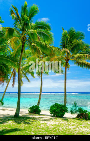 Ein idyllischer Strand mit Palmen in Rarotonga auf den Cook-inseln Stockfoto