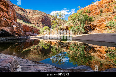 Malerischer Blick auf lurline Schlucht wasser Loch in die West MacDonnell Ranges NT Outback Australien Stockfoto