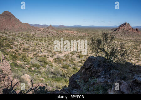 Malerische Landschaften im Organ Pipe Cactus National Monument, Puerto Blanco Loop Road, West Virginia Stockfoto