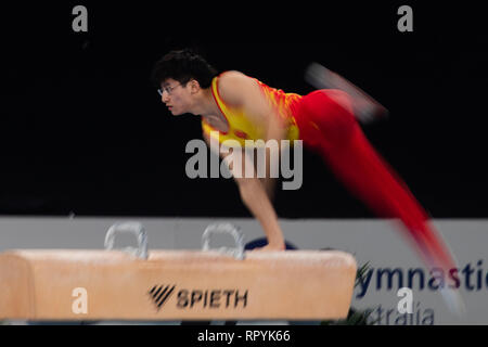 Melbourne, Australien. 23 Feb, 2019. Weng Hao China konkurriert, während Männer Pferd Final World Cup Gymnastik in Melbourne, Australien, Nov. 23, 2019. Weng Hao gewann das Silber mit 15.233 Punkten. Credit: Bai Xue/Xinhua/Alamy leben Nachrichten Stockfoto