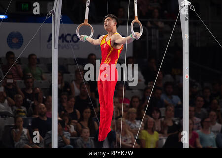 Melbourne, Australien. 23 Feb, 2019. Chinas Liu Yang konkurriert während der Endrunde der Männer Ringe von WM-Gymnastik 2019 in Melbourne, Australien, Nov. 23, 2019. Liu Yang gewann den Gold mit 15.166 Punkten. Credit: Bai Xue/Xinhua/Alamy leben Nachrichten Stockfoto