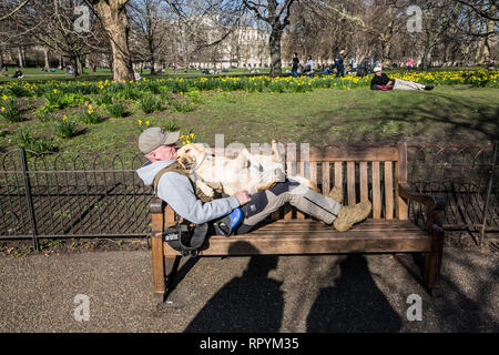 St James' Park, Central London, UK. 23. Februar, 2019. Ein Mann und sein Hund Freund genießen Sie die warmen Temperaturen der Frühling kommt in der St. James Park, London, England, UK, 23. Februar, 2019 Credit: Jeff Gilbert/Alamy leben Nachrichten Stockfoto