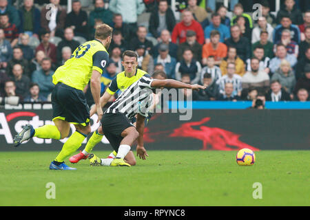 Newcastle upon Tyne, Großbritannien. 23 Feb, 2019. Newcastle United Salomon Rondon Wettbewerbe für die Kugel mit der Huddersfield Town Christopher Schindler und Huddersfield Town Laurent Depoitre während der Premier League Match zwischen Newcastle United und Huddersfield Town in der St. James's Park, Newcastle am Samstag, 23. Februar 2019. (Credit: Steven Hadlow | MI Nachrichten) Credit: MI Nachrichten & Sport/Alamy leben Nachrichten Stockfoto