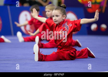 Moskau, Russland. 23 Feb, 2019. Wettbewerber während der Eröffnungsfeier für die Moskauer Wushu Sterne 2019 Wettbewerb in Moskau, Russland, Jan. 23, 2019. Credit: Bai Xueqi/Xinhua/Alamy leben Nachrichten Stockfoto