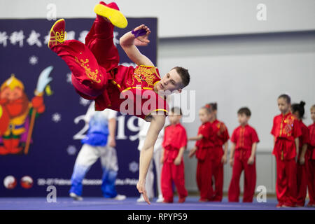Moskau, Russland. 23 Feb, 2019. Ein Wettbewerber, der während der Eröffnungsfeier für die Moskauer Wushu Sterne 2019 Wettbewerb in Moskau, Russland, Jan. 23, 2019. Credit: Bai Xueqi/Xinhua/Alamy leben Nachrichten Stockfoto