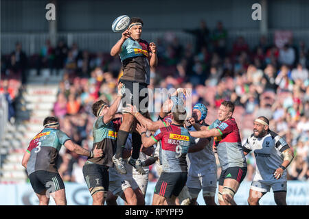 Twickenham, London, UK. 23 Feb, 2019. Ben Glynn der Harlekine in Aktion während Gallagher Premiership Übereinstimmung zwischen Harlekine und Bristol trägt bei Twickenham Stoop am Samstag, den 23. Februar 2019. LONDON ENGLAND. (Nur redaktionelle Nutzung, eine Lizenz für die gewerbliche Nutzung erforderlich. Keine Verwendung in Wetten, Spiele oder einer einzelnen Verein/Liga/player Publikationen.) Credit: Taka G Wu/Alamy News Credit: Taka Wu/Alamy leben Nachrichten Stockfoto