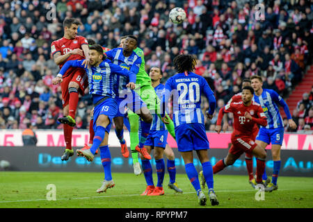 München, Deutschland, 23. Februar, 2019. Bayern, München: Fußball: Bundesliga, FC Bayern München - Hertha BSC, 23. Spieltag in der Allianz Arena. Javi Martinez vom FC Bayern München (l) Kerben 1:0. Neben ihm Marko Grujic (2. von links) und Salomon Kalou (3. von links) nicht erreichen, um die Kugel. Quelle: dpa Picture alliance/Alamy Leben Nachrichten Quelle: dpa Picture alliance/Alamy leben Nachrichten Stockfoto