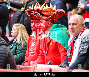 Fürstentum Stadium, Cardiff, UK. 23 Feb, 2019. Guinness sechs Nationen Rugby, Wales gegen England; Wales Fans genießen Sie die Atmosphäre vor dem Kick off Credit: Aktion plus Sport/Alamy leben Nachrichten Stockfoto