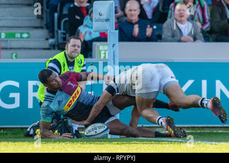 London, Großbritannien. 23 Feb, 2019. Nathan Earle der Harlekine Kerben versuchen während Gallagher Premiership Übereinstimmung zwischen Harlekine und Bristol trägt bei Twickenham Stoop am Samstag, den 23. Februar 2019. LONDON ENGLAND. (Nur redaktionelle Nutzung, eine Lizenz für die gewerbliche Nutzung erforderlich. Keine Verwendung in Wetten, Spiele oder einer einzelnen Verein/Liga/player Publikationen.) Credit: Taka G Wu/Alamy News Credit: Taka Wu/Alamy leben Nachrichten Stockfoto