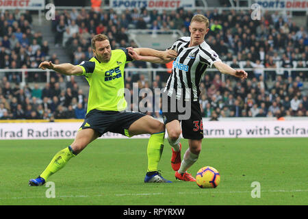 NEWCASTLE UPON TYNE, Großbritannien. 23. Februar der Huddersfield Town Laurent Depoitre Wettbewerbe für den Ball mit Newcastle United Sean Longstaff während der Premier League Match zwischen Newcastle United und Huddersfield Town in der St. James's Park, Newcastle am Samstag, 23. Februar 2019. (Credit: Steven Hadlow | MI Nachrichten) Credit: MI Nachrichten & Sport/Alamy leben Nachrichten Stockfoto