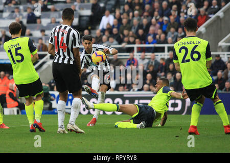 NEWCASTLE UPON TYNE, Großbritannien. 23. FEBRUAR Newcastle United Ayoze Perez schießt während der Premier League Match zwischen Newcastle United und Huddersfield Town in der St. James's Park, Newcastle am Samstag, 23. Februar 2019. (Credit: Steven Hadlow | MI Nachrichten) Credit: MI Nachrichten & Sport/Alamy leben Nachrichten Stockfoto