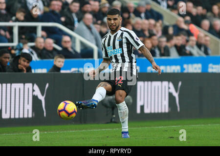 NEWCASTLE UPON TYNE, Großbritannien. 23. FEBRUAR Newcastle United DeAndre Yedlin während der Premier League Match zwischen Newcastle United und Huddersfield Town in der St. James's Park, Newcastle am Samstag, 23. Februar 2019. (Credit: Steven Hadlow | MI Nachrichten) Credit: MI Nachrichten & Sport/Alamy leben Nachrichten Stockfoto