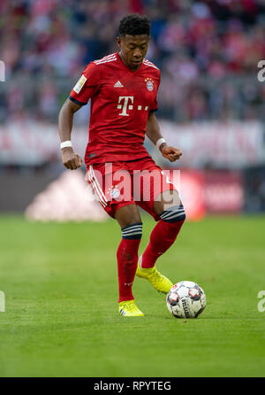 München, Deutschland, 23. Februar, 2019. Bayern, München: Fußball: Bundesliga, FC Bayern München - Hertha BSC, 23. Spieltag in der Allianz Arena. David Alaba vom FC Bayern München spielt den Ball. Foto: Lino Mirgeler/dpa - WICHTIGER HINWEIS: In Übereinstimmung mit den Anforderungen der DFL Deutsche Fußball Liga oder der DFB Deutscher Fußball-Bund ist es untersagt, zu verwenden oder verwendet Fotos im Stadion und/oder das Spiel in Form von Bildern und/oder Videos - wie Foto Sequenzen getroffen haben. Quelle: dpa Picture alliance/Alamy leben Nachrichten Stockfoto