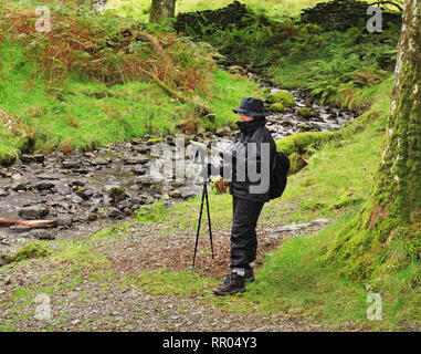 Lady Rambler Lesen einer Karte auf einem Berg trail neben einem Bach im englischen Lake District Stockfoto