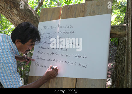 GUATEMALA Workshop für Landwirte zur nachhaltigen, ökologischen Gartenbau, durch die Katholische Kirche, El Remate, Peten organisiert. Cesar Cacao (gestreifte T-Shirt), Ausbilder in der ökologischen Landwirtschaft für die Gemeinde Santa Elena, eine Demonstration auf dem Pfropfen avocadobäume. Stockfoto