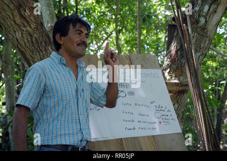 GUATEMALA Workshop für Landwirte zur nachhaltigen, ökologischen Gartenbau, durch die Katholische Kirche, El Remate, Peten organisiert. Cesar Cacao (gestreifte T-Shirt), Ausbilder in der ökologischen Landwirtschaft für die Gemeinde Santa Elena, eine Demonstration auf dem Pfropfen avocadobäume. Stockfoto