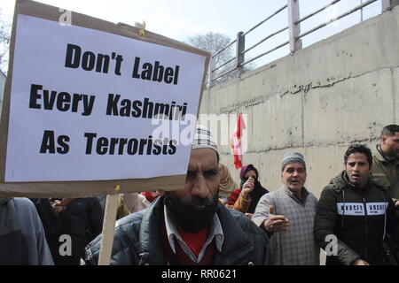 Srinagar, Indien. 23 Feb, 2019. Zahlreiche Menschen, darunter Pro-v Protest gegen die Schutzklausel des Artikels 35 - eine der indischen Verfassung. Wenige nicht-lokalen Derzeit leben in Kaschmir Stimme gegen ihn erhoben. Es war die Nachfrage zu schützen und diese schützen. "Wir wollen Frieden und Brüderlichkeit allen über basteln Artikel 35 - ein kann die Situation hier Schaden und niemand will, dass "ein Demonstrant sagte. Credit: Musaib Iqbal Bhat/Pacific Press/Alamy leben Nachrichten Stockfoto