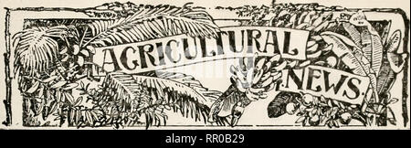 . Landwirtschaftliche Nachrichten. Landwirtschaft - West Indies; Pflanzenkrankheiten - West Indies. . Bitte beachten Sie, dass diese Bilder sind von der gescannten Seite Bilder, die digital für die Lesbarkeit verbessert haben mögen - Färbung und Aussehen dieser Abbildungen können nicht perfekt dem Original ähneln. extrahiert. Großbritannien. Imperial Abt. der Landwirtschaft für die Westindischen Inseln. Bridgetown, Barbados, Bowen &Amp; Söhne; Stockfoto