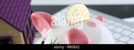 Souvenir Münze bitcoin in piggy Bank in Form Stockfoto