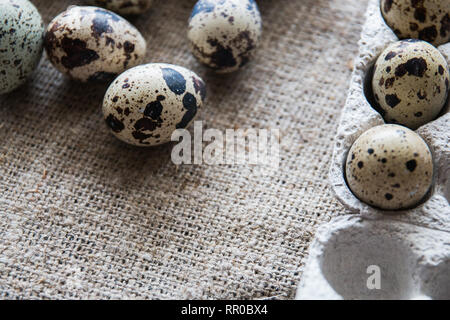 Texturierte Frühling Hintergrund mit kleinen Wachteleiern. Umweltfreundliche Produkte. Wachteleier in Karton verpacken. Stockfoto