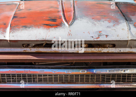 Abstraktes Bild der Motorhaube eines alten Chevrolet Pick-up-Truck Stockfoto