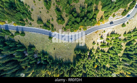 Einen frischen grünen Pinienwald Schuß in den Frühling mit einem Dron aus der Luft. Unbrauchbar BERGLANDSCHAFT von Rumänien von oben Stockfoto