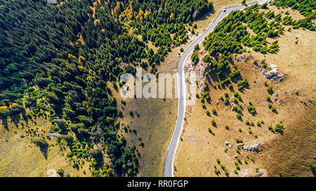 Einen frischen grünen Pinienwald Schuß in den Frühling mit einem Dron aus der Luft. Unbrauchbar BERGLANDSCHAFT von Rumänien von oben Stockfoto