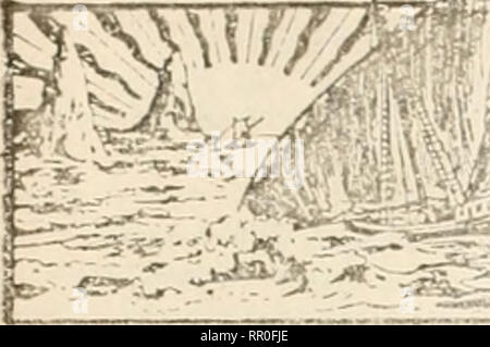 . Landwirtschaftliche Nachrichten. Landwirtschaft - West Indies; Pflanzenkrankheiten - West Indies. 108 DIE LANDWIRTSCHAFTLICHEN NACHRICHTEN. März 27, 1915 .. Bitte beachten Sie, dass diese Bilder sind von der gescannten Seite Bilder, die digital für die Lesbarkeit verbessert haben mögen - Färbung und Aussehen dieser Abbildungen können nicht perfekt dem Original ähneln. extrahiert. Großbritannien. Imperial Abt. der Landwirtschaft für die Westindischen Inseln. Bridgetown, Barbados, Bowen &Amp; Söhne; Stockfoto