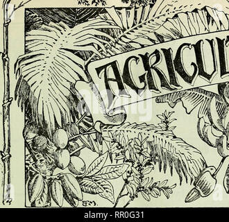 . Landwirtschaftliche Nachrichten. Landwirtschaft - West Indies; Pflanzenkrankheiten - West Indies. m 1, N. Bitte beachten Sie, dass diese Bilder sind von der gescannten Seite Bilder, die digital für die Lesbarkeit verbessert haben mögen - Färbung und Aussehen dieser Abbildungen können nicht perfekt dem Original ähneln. extrahiert. Großbritannien. Imperial Abt. der Landwirtschaft für die Westindischen Inseln. Bridgetown, Barbados, Bowen &Amp; Söhne; Stockfoto