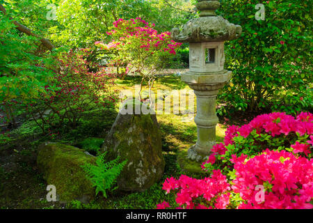 Japanischer Garten in Den Haag Stockfoto