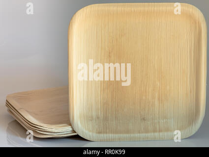 Biologisch abbaubar Umweltfreundlich, Geschirr, Teller und Löffel von Palm Leaf gemacht und Holz Stockfoto