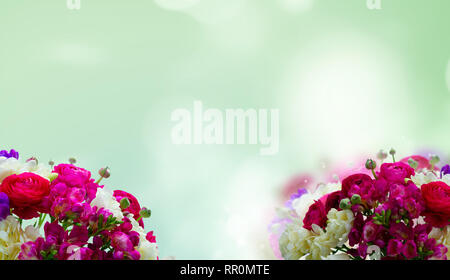 Freeseia frische Blumen Stockfoto