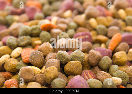 Hunde- und Katzenfutter Hintergrund getrocknet. Bunte Hund behandelt. Heimtiernahrung. Stockfoto
