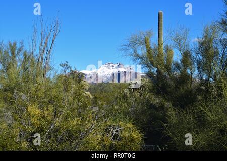 Schnee bedeckt die Superstition Mountains in Arizona mit Wüste Kaktus in den Vordergrund Stockfoto